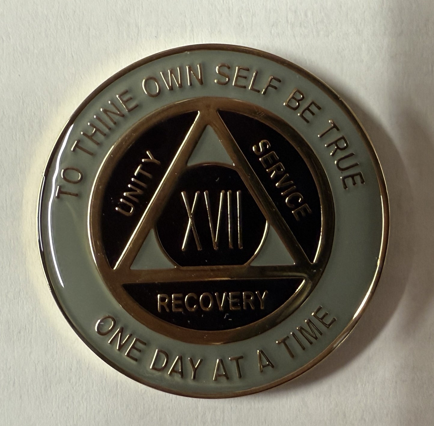 Specialty Medallion - 17 Years