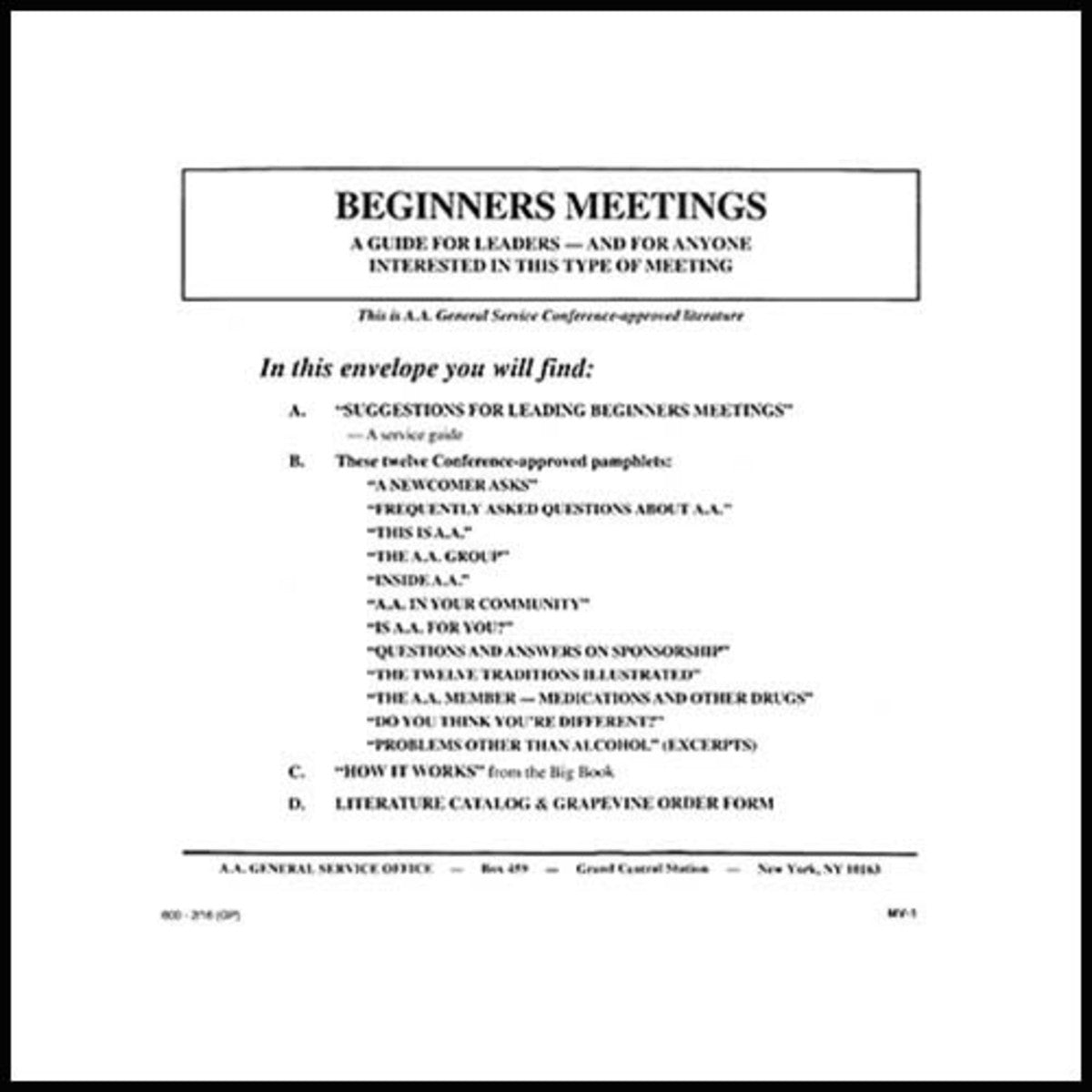 Guide for Leading Beginners Meetings