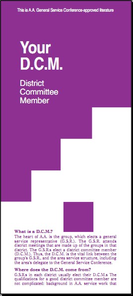 The DCM Flyer