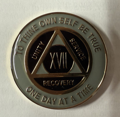 Specialty Medallion - 17 Years