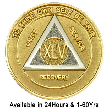 Specialty Medallion - 47 Years