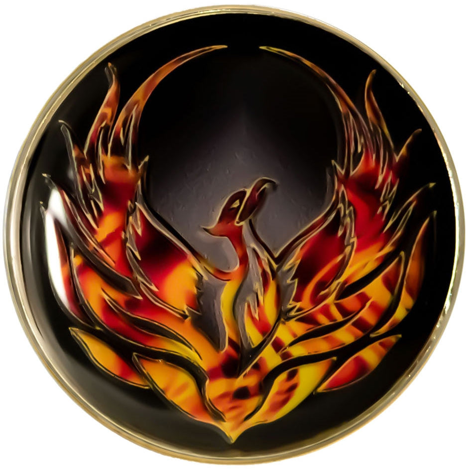 Specialty Medallion - 13 Years